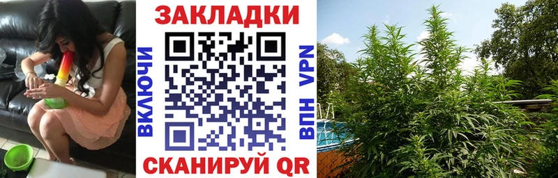 Названия наркотиков Иннополис Бошки Шишки  Alpha-PVP  Гашиш  COCAIN 