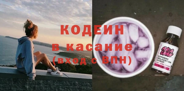 индика Бикин