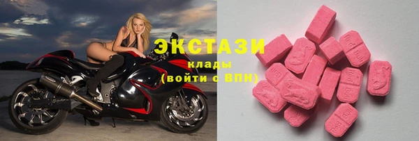 индика Бикин