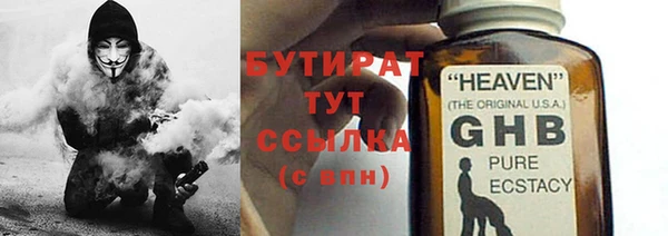 индика Бикин