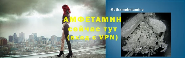 индика Бикин