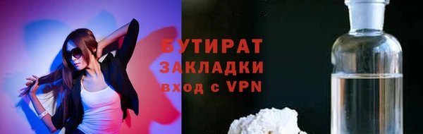индика Бикин