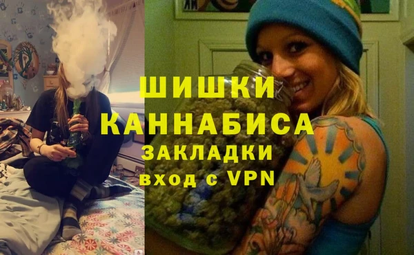 индика Бикин