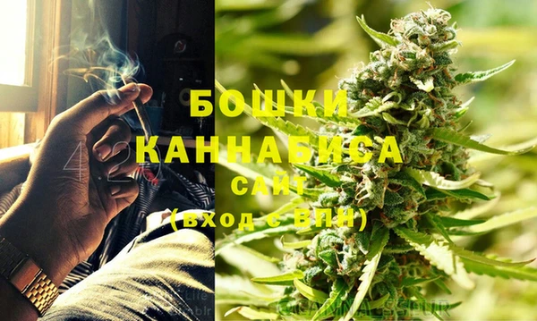 индика Бикин
