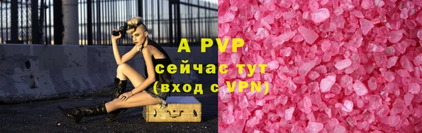индика Бикин