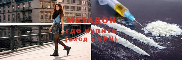 индика Бикин