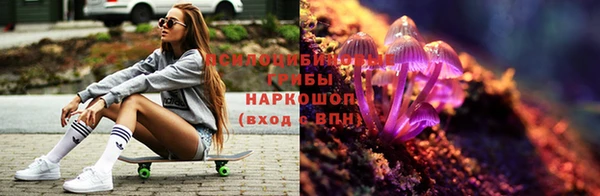 индика Бикин