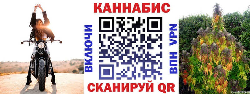 Конопля MAZAR  Иннополис 